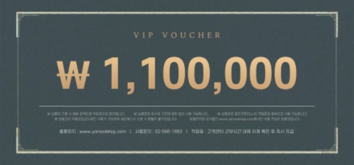 VIP 110만원권